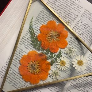 Moon kissed Botanical Pressed Flower Wall Art